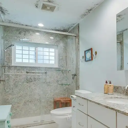 Residential Mold Damage Remediation Services by Disaster Restoration Icons in Ruskin FL